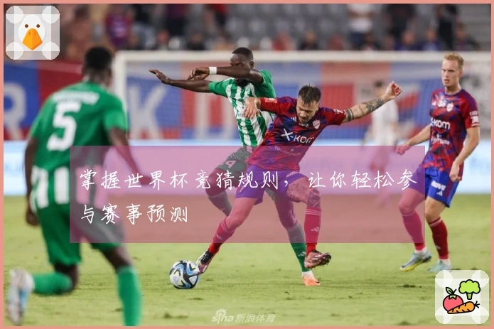 掌握世界杯竞猜规则，让你轻松参与赛事预测