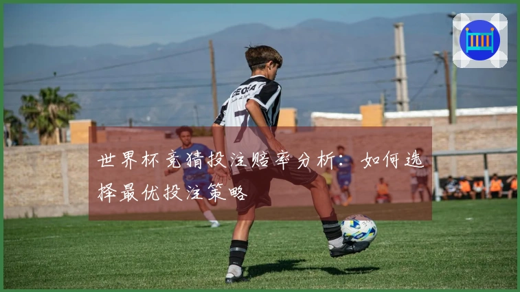 世界杯竞猜投注赔率分析：如何选择最优投注策略