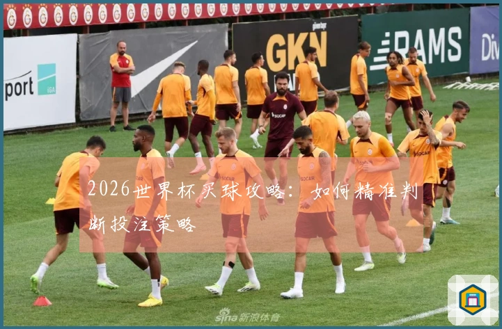 2026世界杯买球攻略：如何精准判断投注策略