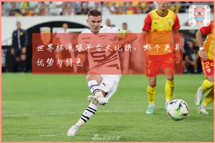 世界杯滚球平台大比拼，哪个更具优势与特色