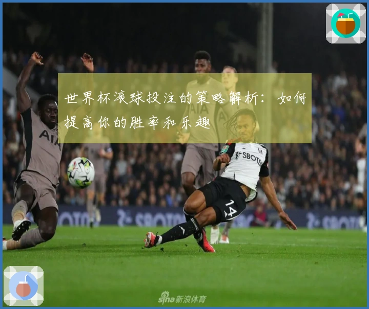 世界杯滚球投注的策略解析：如何提高你的胜率和乐趣