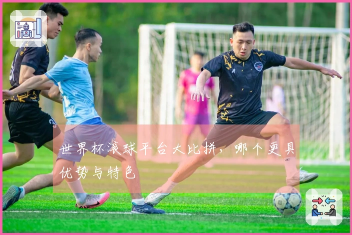 世界杯滚球平台大比拼，哪个更具优势与特色