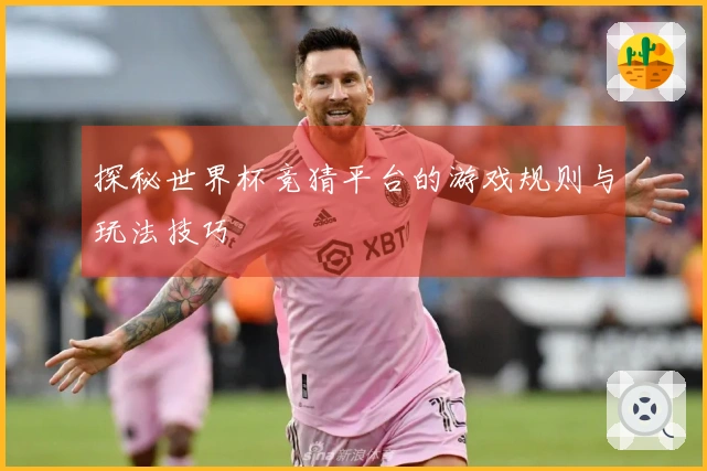 探秘世界杯竞猜平台的游戏规则与玩法技巧