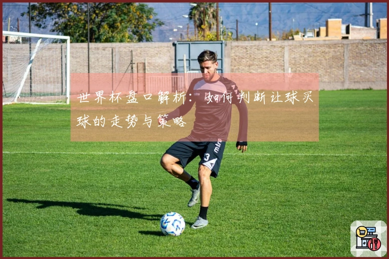 世界杯盘口解析：如何判断让球买球的走势与策略
